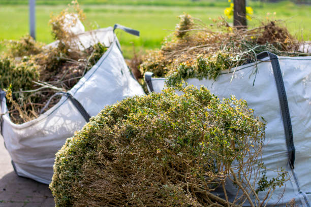 Best Same-Day Junk Removal Services  in Buffalo, WY