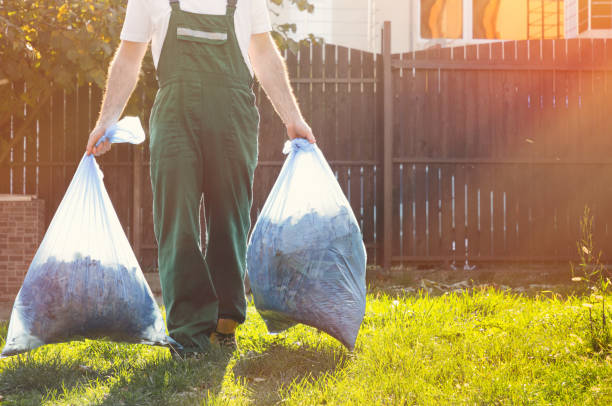 Best Dumpster Rental Services  in Buffalo, WY
